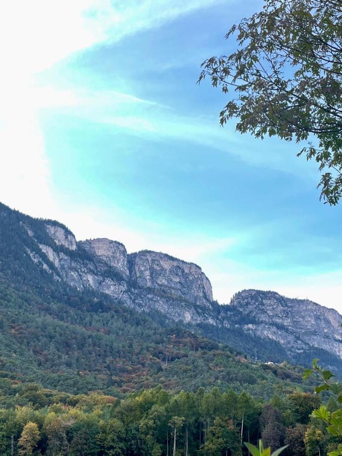 Kreuzstein Bed&Breakfast Appiano Sulla Strada Del Vino Ngoại thất bức ảnh
