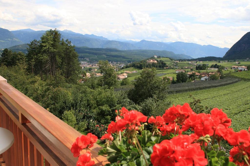 Kreuzstein Bed&Breakfast Appiano Sulla Strada Del Vino Phòng bức ảnh